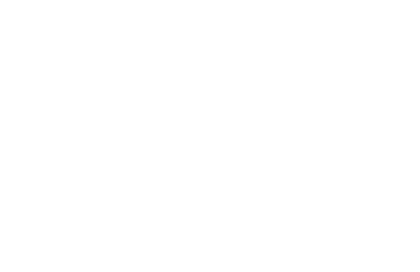 Scheisthal Zaun & Montage